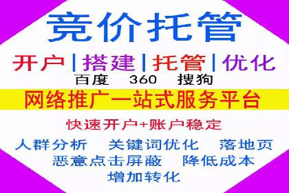 精选案例分享：SEM代运营公司效果展示